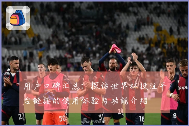 用户口碑汇总：探访世界杯投注平台链接的使用体验与功能介绍