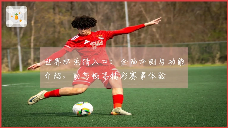 世界杯竞猜入口：全面评测与功能介绍，助您畅享精彩赛事体验