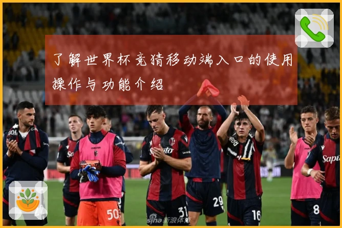 了解世界杯竞猜移动端入口的使用操作与功能介绍