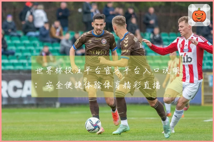 世界杯投注平台官方平台入口说明:安全便捷体验体育精彩直播