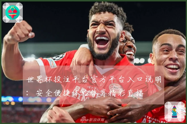 世界杯投注平台官方平台入口说明：安全便捷体验体育精彩直播