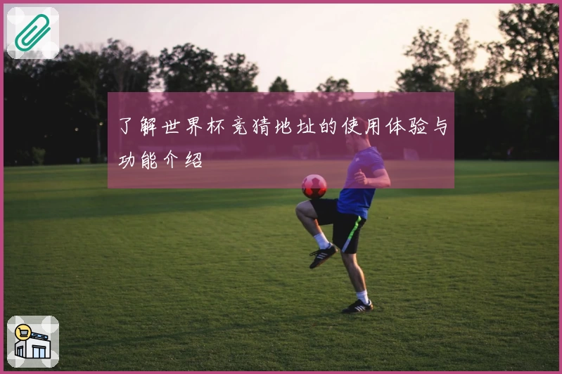 了解世界杯竞猜地址的使用体验与功能介绍