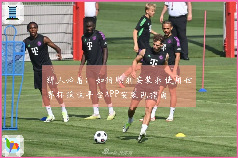 新人必看：如何顺利安装和使用世界杯投注平台APP安装包指南