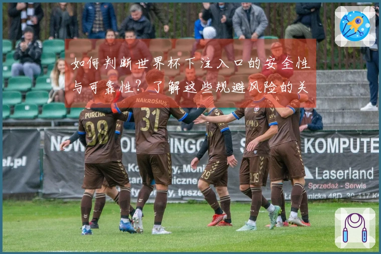 如何判断世界杯下注入口的安全性与可靠性？了解这些规避风险的关键要素！