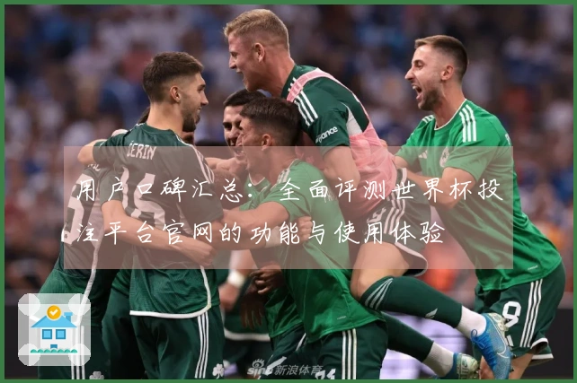 用户口碑汇总：全面评测世界杯投注平台官网的功能与使用体验