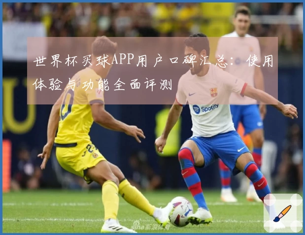 世界杯买球APP用户口碑汇总：使用体验与功能全面评测