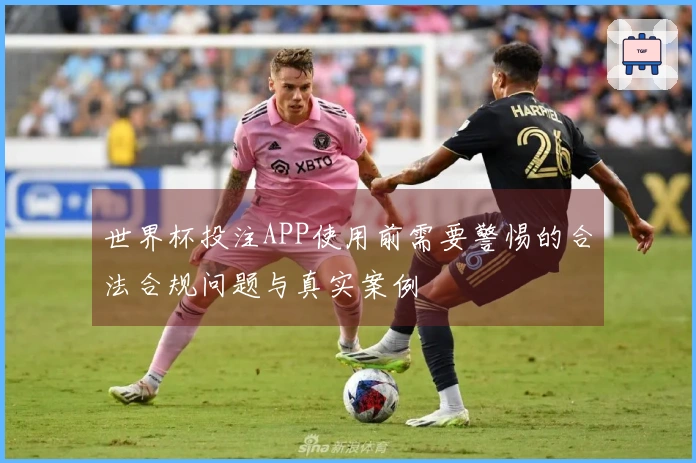 世界杯投注APP使用前需要警惕的合法合规问题与真实案例