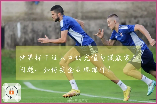世界杯下注入口的充值与提款常见问题，如何安全合规操作？